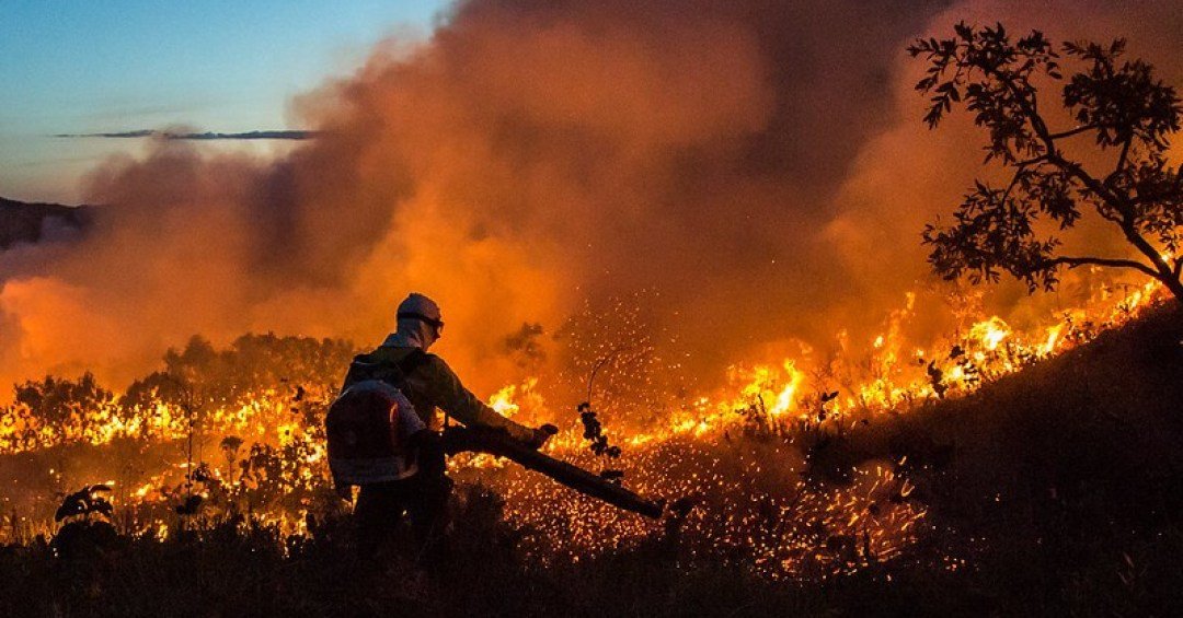 Desmatamento no Cerrado atinge novo recorde em março, diz Inpe