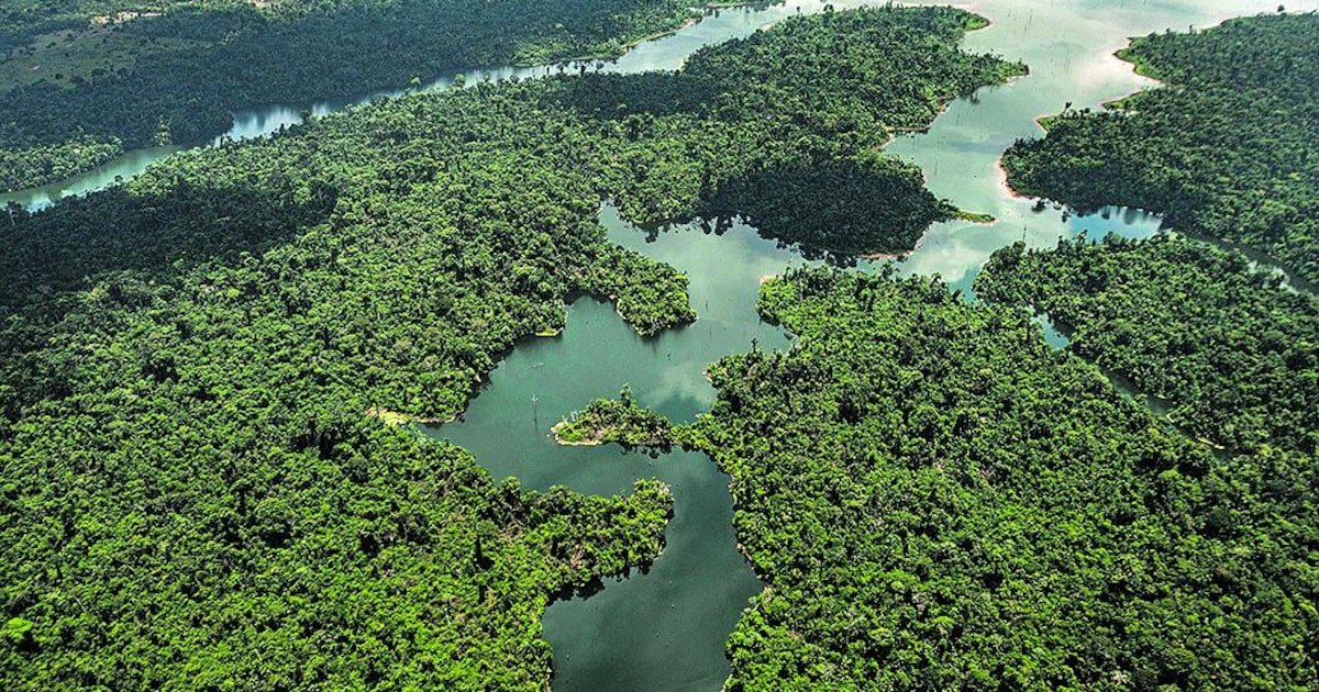 Brasil tem oportunidade única na Era do Clima, mas deve se mover rápido; veja em cinco pontos