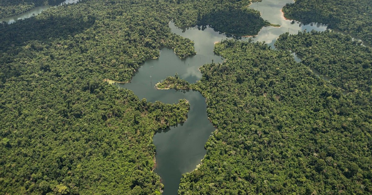 O Brasil vai conseguir ser protagonista global em economia verde?