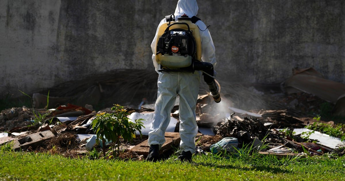 Maioria das UFs já vê queda em casos de dengue, mas nova epidemia é esperada para este ano