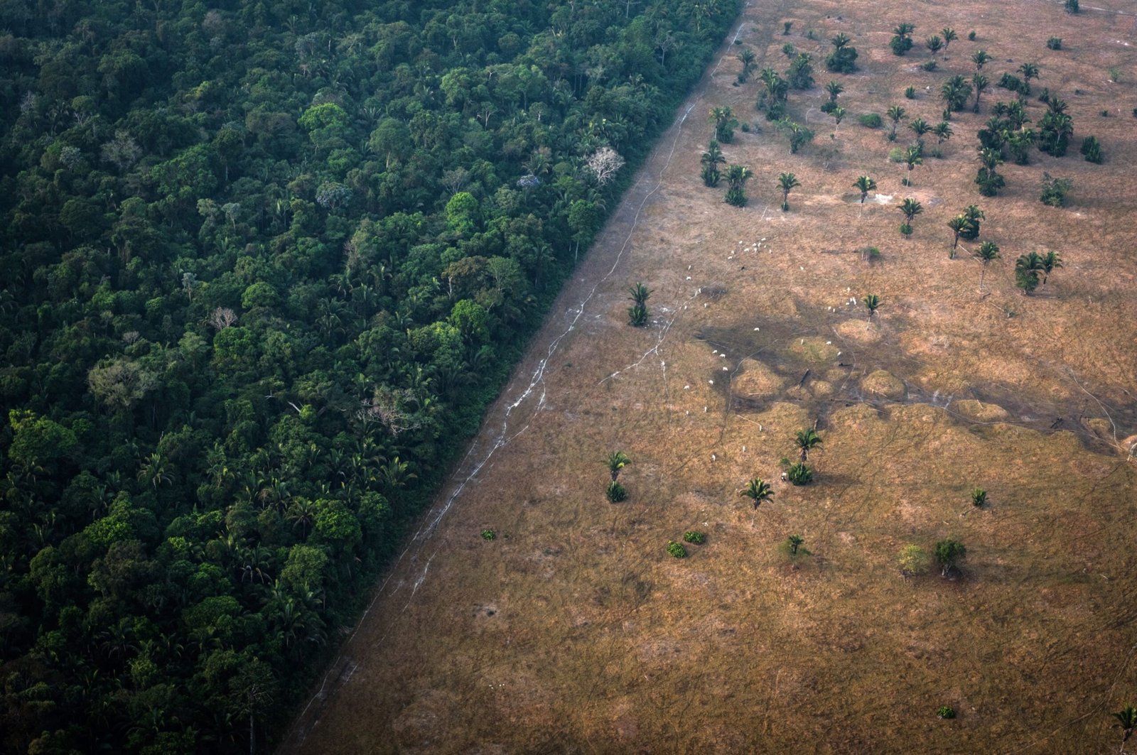 Bloomberg Indices é eleita ESG e Provedora de Índice Climático do ano no Sustainable Investment Awards 2025