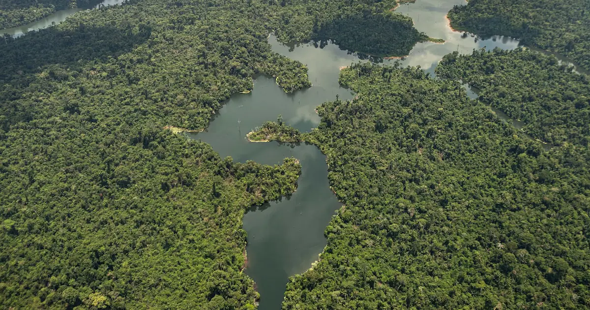 O Brasil vai conseguir ser protagonista global em economia verde?