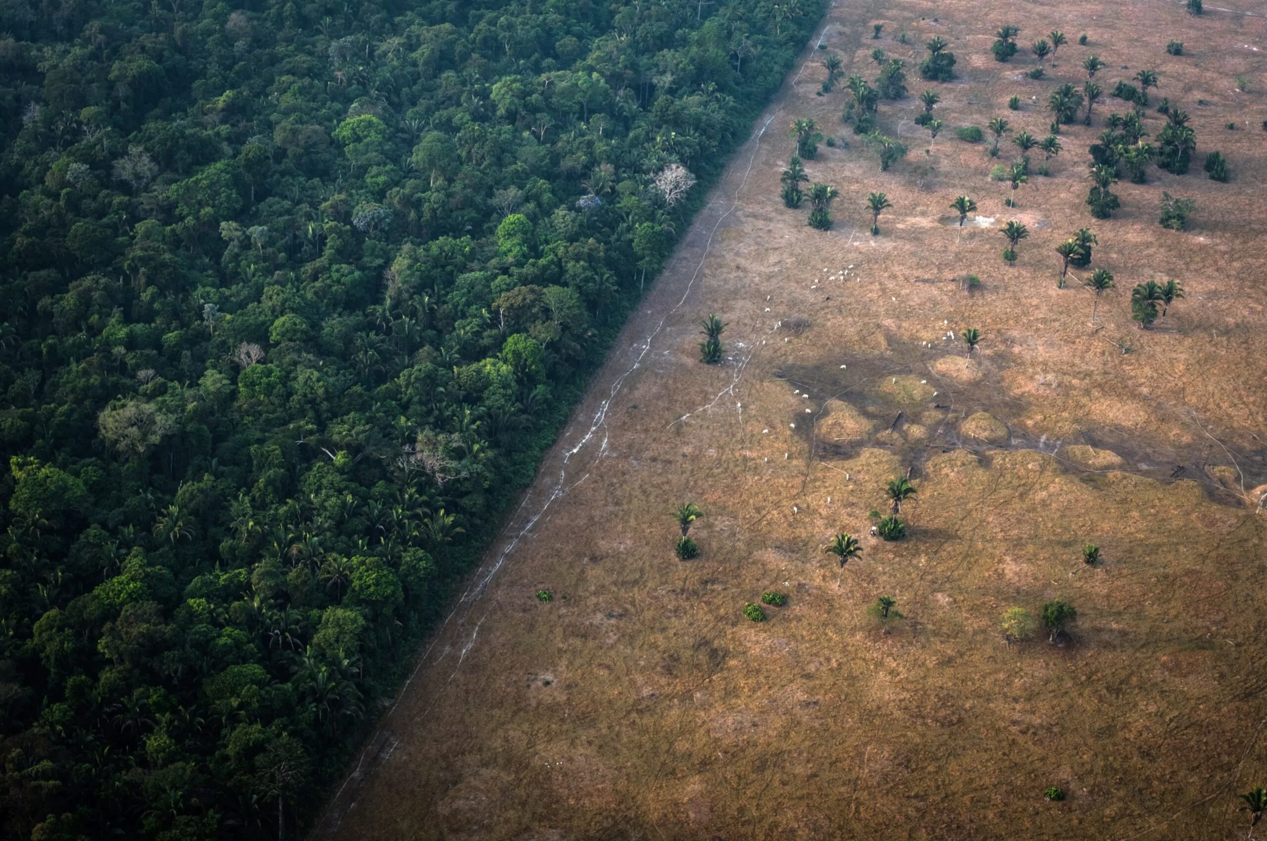 Bloomberg Indices é eleita ESG e Provedora de Índice Climático do ano no Sustainable Investment Awards 2025